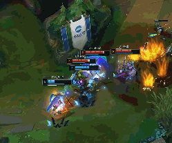 棋手在本届 棋手在本届