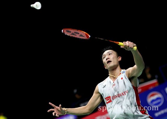 的判断引导 的判断引导